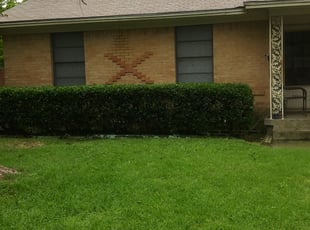 Bush Trimming by Stephen Fournier for Lucy R. in Dallas, TX