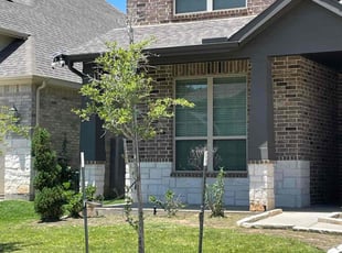 Weeding by Abraham Flores for Creative V. in Katy, TX