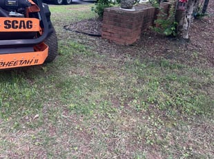 Weeding by Louis Sampson for Johnathan H. in Marietta, GA