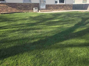 Kelly M.'s Lawn Care service result
