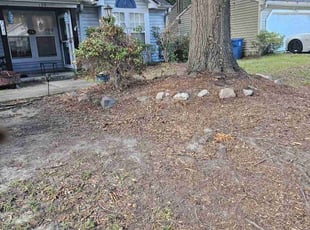 Bush Trimming by J. Peyton Sherwood for Veronica C. in Summerville, SC