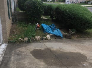 Bush Trimming by Shawn Stewart for Dena C. in Temple Hills, MD