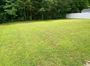 Amanuel D.'s Lawn Mowing Service service result