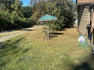 Johanna C.'s Cleanups service result