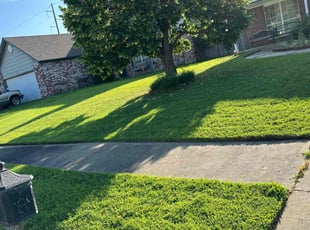 Don M.'s Grass Cutting service result