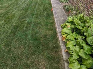 Michael T.'s Lawn Care service result