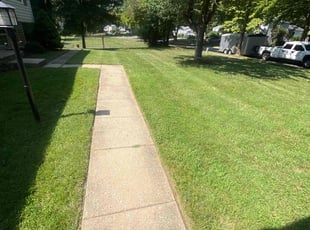Franz V.'s Lawn Service service result