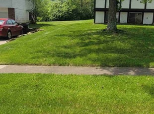 Rebecca P.'s Lawn Mowing Service service result