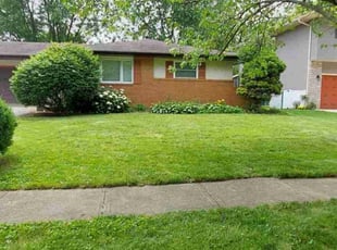 Ensa M.'s Lawn Care service result