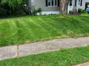 Mario C.'s Lawn Mowing service result