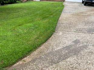 Cleanups by Maria Mauro for Nick N. in Lawrenceville, GA