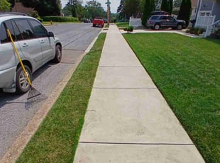 Samiah S.'s Lawn Mowing Service service result