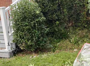 Bush Trimming by David Wilson for Karen M. in Norfolk, VA