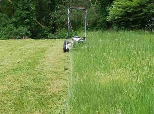 Anna N.'s Lawn Mowing Service service result
