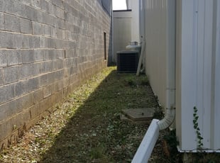 Bush Trimming by Marion Williams for Mark K. in Laurel, MD