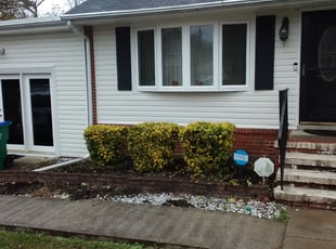 Bush Trimming by Arthur Haskins for Tony G. in Richmond, VA