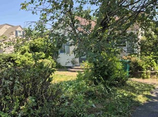 Bush Trimming by Kyle Smith for Robert C. in Carlisle, PA