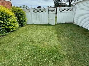 Ivernoner F.'s Lawn Service service result