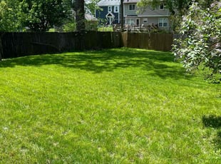 Matthew M.'s Lawn Care service result