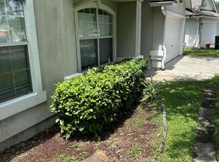 Bush Trimming by Brooke Starling for Laryn W. in Orange Park, FL