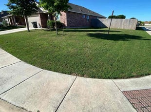 Sharon B.'s Grass Cutting service result