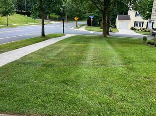 Charla R.'s Lawn Maintenance service result