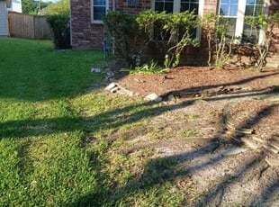 Weeding by Ana Zelaya for Giugi C. in Pearland, TX