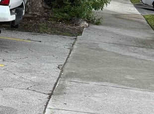 Cleanups by Erickson Lucien for Alexander P. in North Miami Beach, FL
