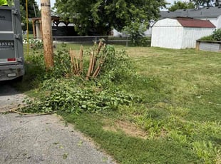 Bush Trimming by Eugenio Cuenca for Ashley B. in Bargersville, IN