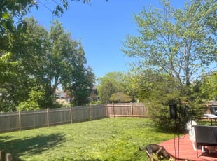TONY G.'s Lawn Mowing Service service result