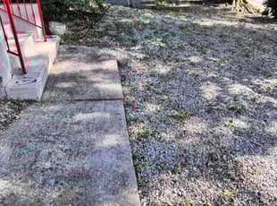 Weeding by Leon Wilson for Frantz E. in Atlanta, GA