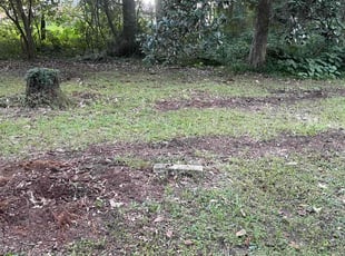 Cleanups by Herschell Bradley for Jason S. in Tallahassee, FL