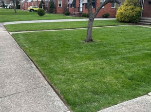 Amber T.'s Lawn Service service result