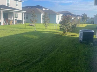 Eileen J.'s Yard Cutting service result
