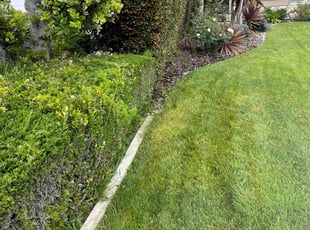 Bush Trimming by Sergio Acosta for Sam S. in Rancho Palos Verdes, CA