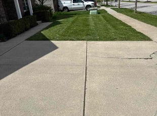 Alisica R.'s Lawn Care service result