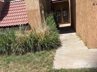 Bush Trimming by daeβonna johnson for Arik S. in Amarillo, TX