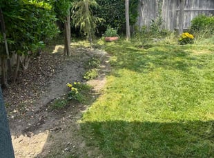 Cleanups by Johnie Parker for Sandra G. in Fresno, CA