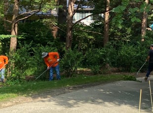 Weeding by Angel P. for Cedric H. in Arlington, VA
