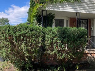 Bush Trimming by Dandre Hall for Deborah B. in Detroit, MI