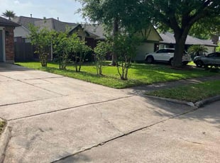 Angelina E.'s Yard Cutting service result