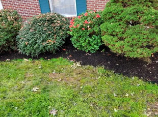 Mulching by William Calloway for Christina W. in Statesville, NC