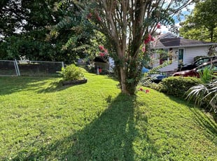 Jodi P.'s Lawn Service service result