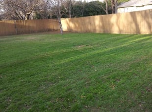 Leaf Removal by Fatima Halim for Lauren B. in Mansfield, TX