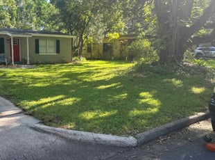 Alex M.'s Grass Cutting service result