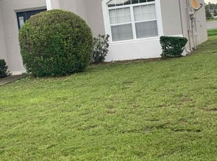 Bush Trimming by Jordan Davis for Lonnie D. in Kissimmee, FL
