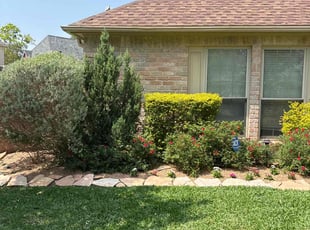 OMAR K.'s Lawn Care service result