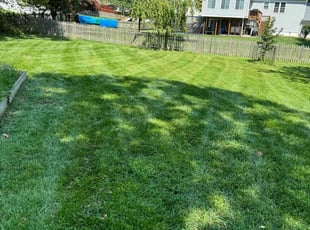 KELLI L.'s Lawn Mowing service result
