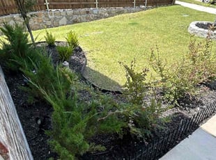 Weeding by Sprouts Novus for Ebony v. in Red Oak, TX