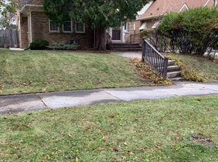Leaf Removal by Elijah Miller for Daphne J. in Milwaukee, WI